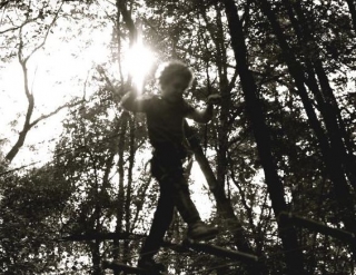  Come un funambolo tra gli alberi 
